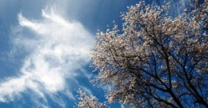 Read more about the article Καιρός: Ανοιξιάτικες οι θερμοκρασίες από Δευτέρα – Έρχεται Αφρικανική σκόνη;