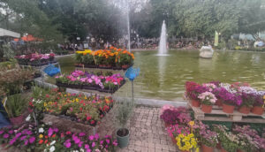 Read more about the article Άνθη και φυτά θα «πλημμυρίσουν» για 10 μέρες την Καλαμάτα