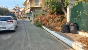 Read more about the article Α. Καραχάλιος: Ο δημόσιος χώρος δεν είναι χωματερή ιδιωτικών κήπων