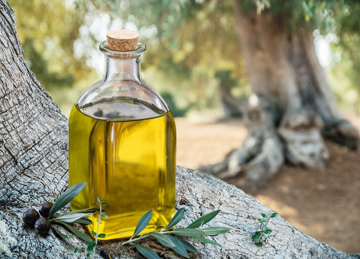 Read more about the article Έξτρα παρθένο ελαιόλαδο: Καλαματιανό εναντίον Ιταλικού (video)