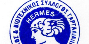 Read more about the article Έκτακτη γενική συνέλευση του εμπορικού συλλόγου Γαργαλιάνων