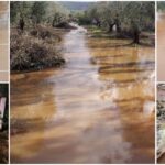 Χ. Γριβοκωστόπουλος: Κυριε Βλάχο, πώς εφαρμόζεται στην πράξη η Πολιτική Προστασία;